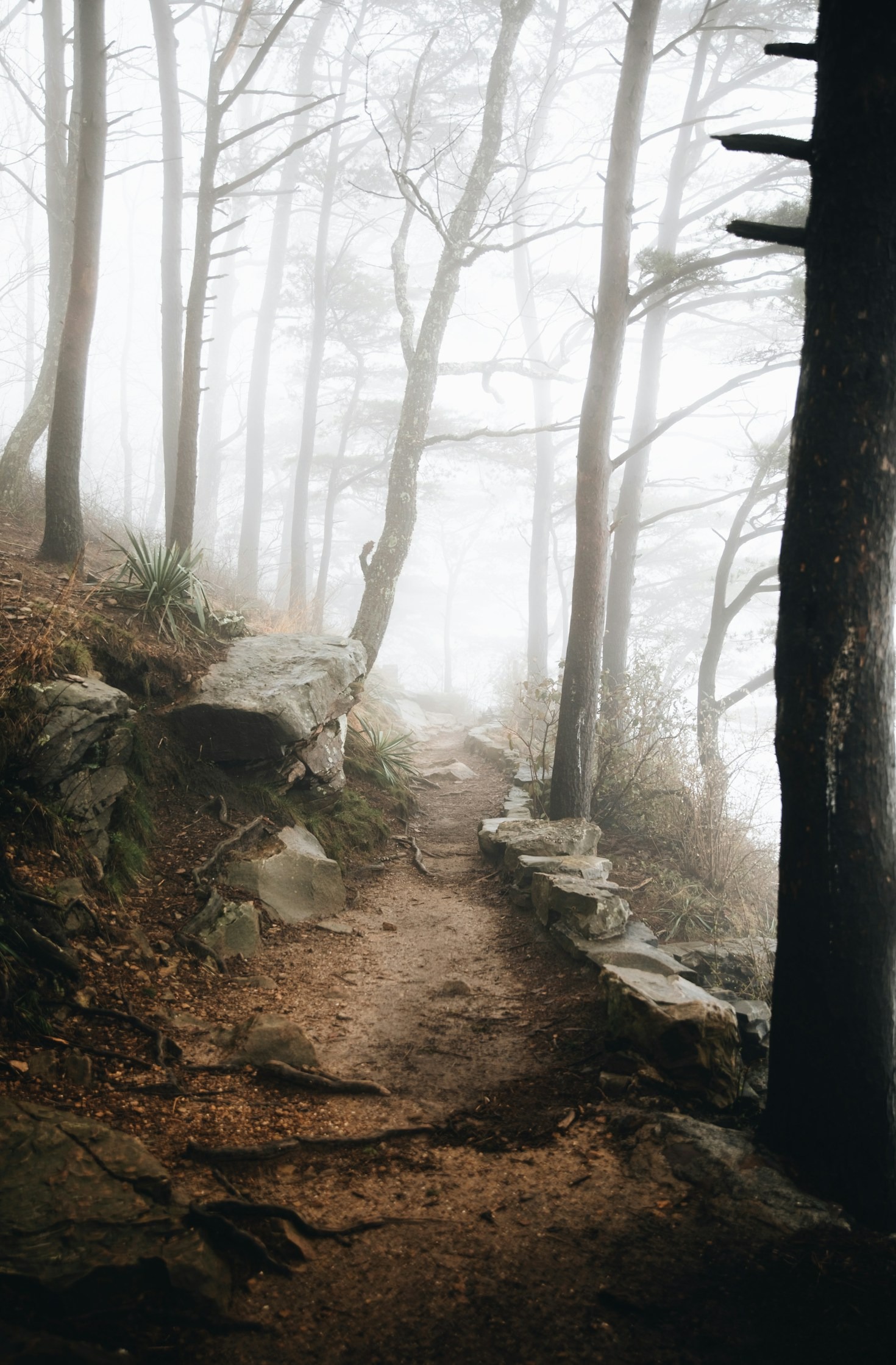 Understanding the Balance of Light and Shadow